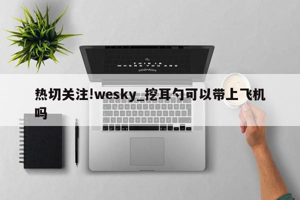 热切关注!wesky_挖耳勺可以带上飞机吗