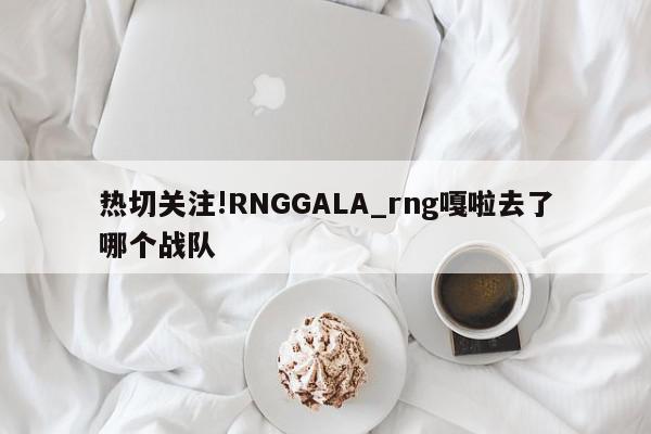 热切关注!RNGGALA_rng嘎啦去了哪个战队